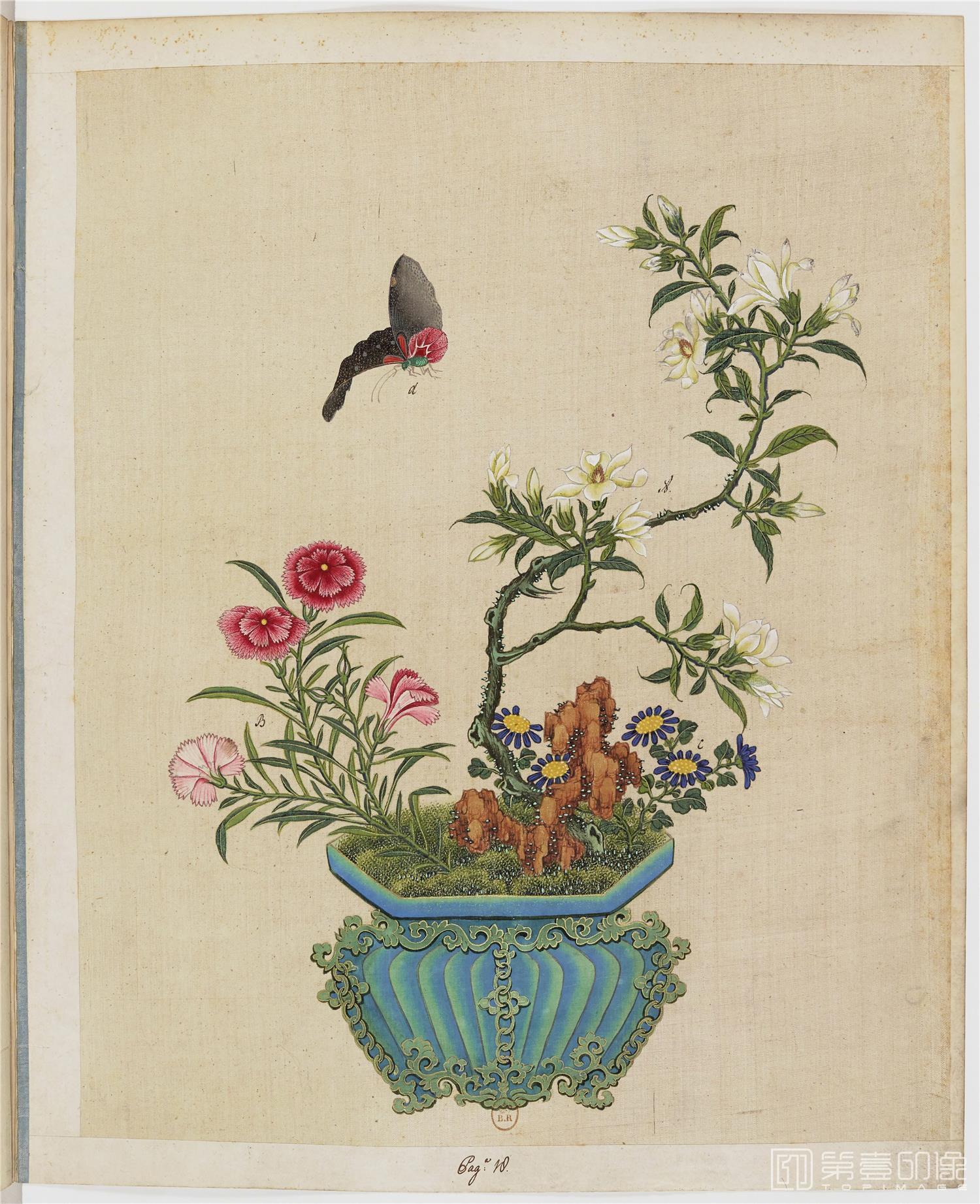 花卉草圖 盆景花鸟草虫图册绢本-001-15-34x43cm-未知-国画作品-第壹印像